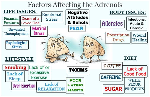 What Is Adrenal Fatigue?